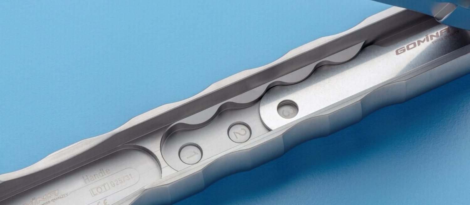 Home Gomina AG Swiss Quality Niederwald, Switzerland